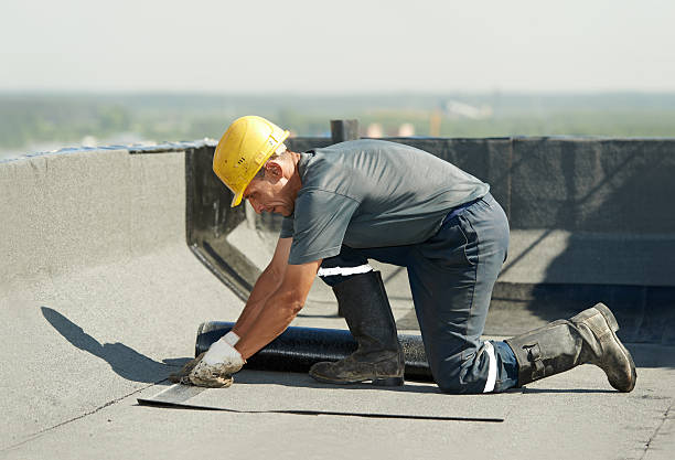 Best Specialized Insulation Services in Rio Rancho, NM